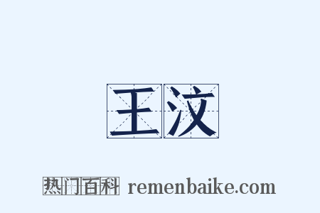 王汶是什么意思的图片